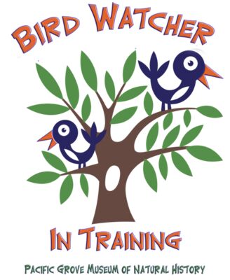 B1 Bird Watcher in Training