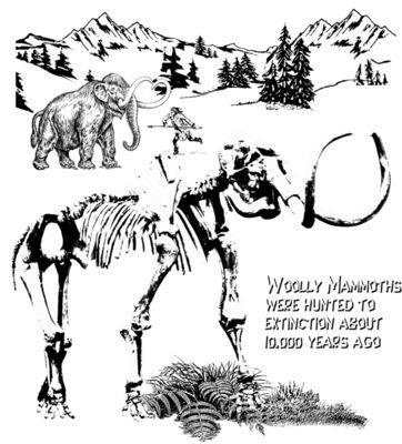 D45 woolly mammoth skeleton