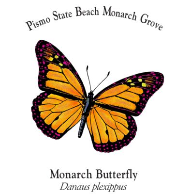 Z162 Single Monarch