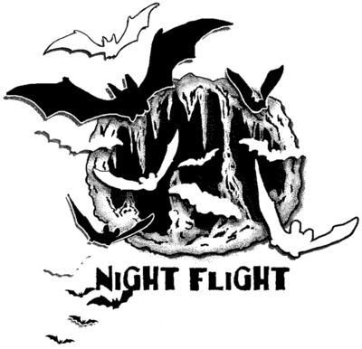 C102 Night flight