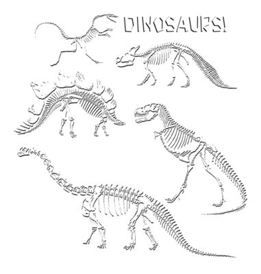 D11 Dino Skeletons