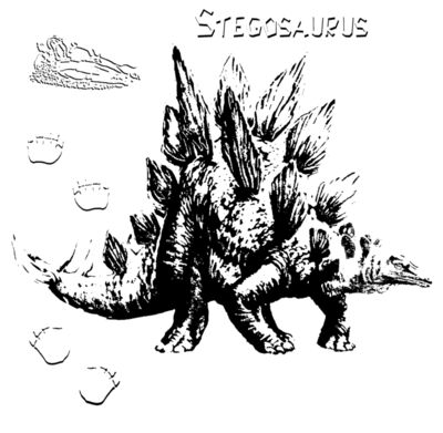 D13 stegosaurus art 
