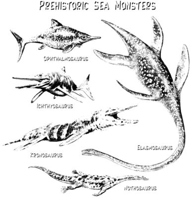 d25 prehistoric sea monsters