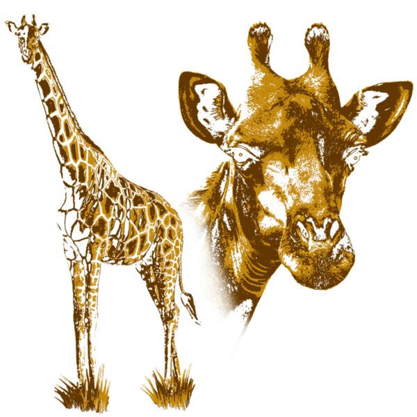 Z518 2 Giraffes Thumbnail