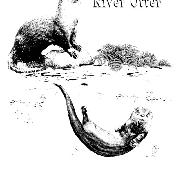 Z410 River Otter Scene Thumbnail