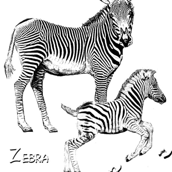 Z22 zebra art glow Thumbnail