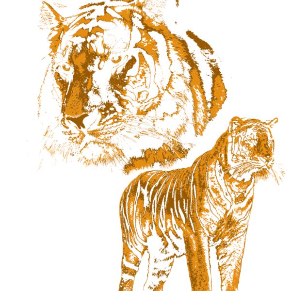 Z517 2 Tigers Thumbnail