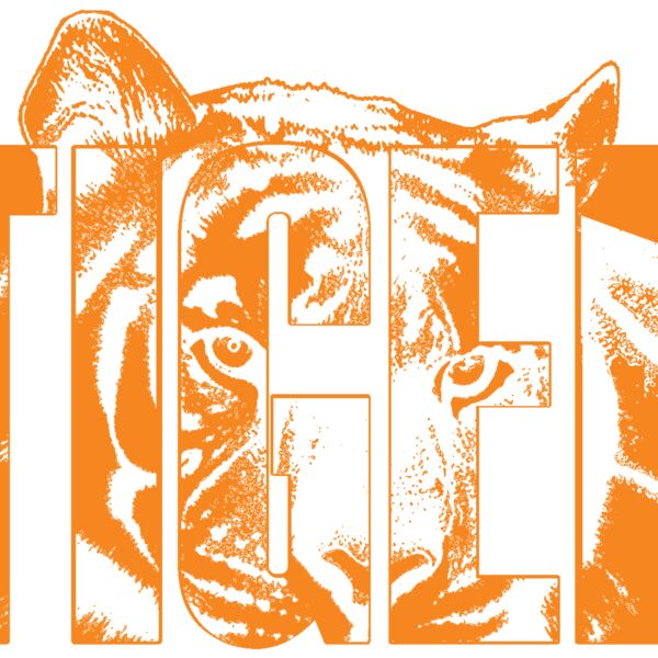 Z354 Tiger Word Orange Thumbnail