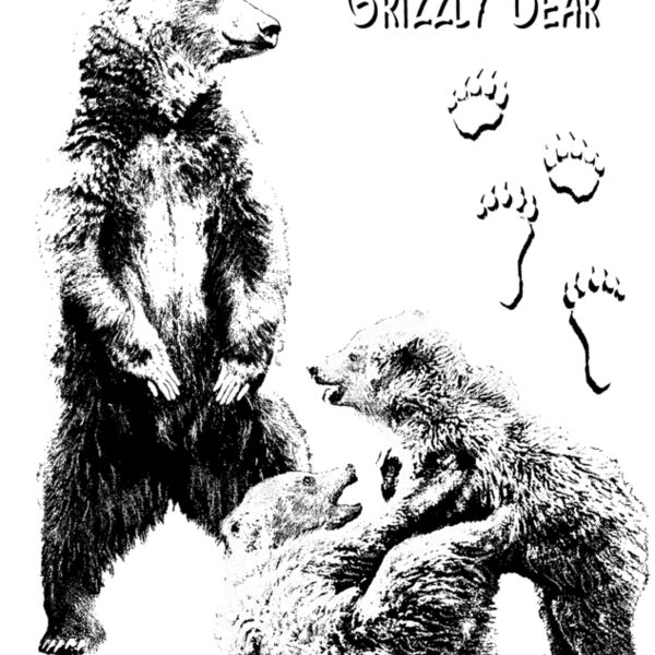 Z28 Grizzly Bear Thumbnail