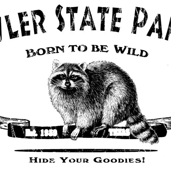 z341 Arched Raccoon Thumbnail