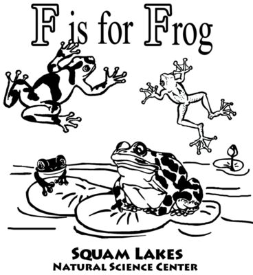 Z414 F is for Frog