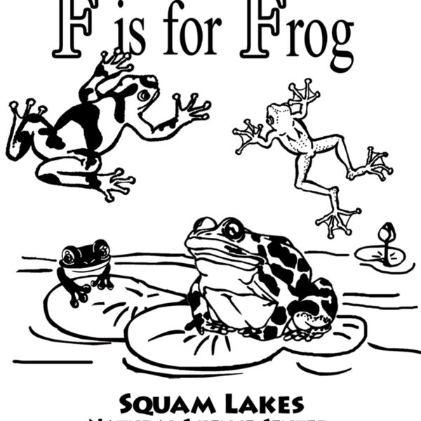 Z414 F is for Frog Thumbnail