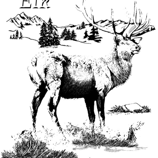 Z272 elk scene Thumbnail