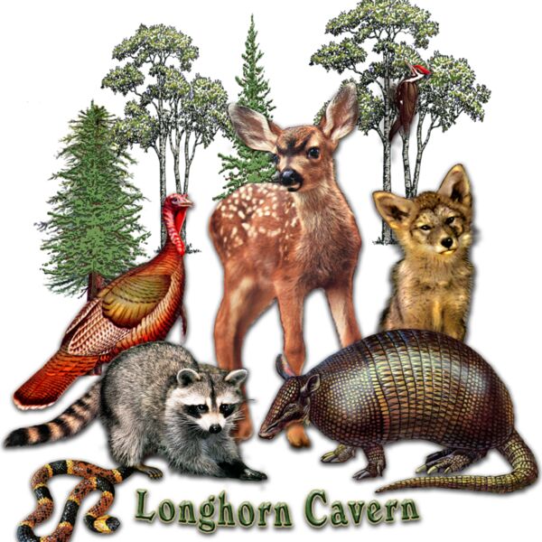 Z235 American Baby Animals Thumbnail