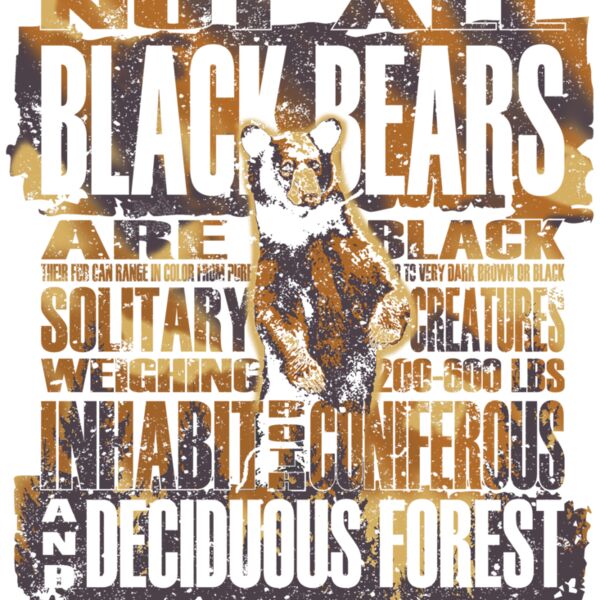 Z511 black bear details Thumbnail