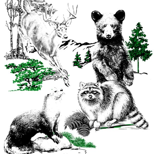 Z405 Hill Country Critters Thumbnail