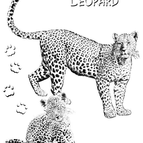 Z83 leopard Thumbnail