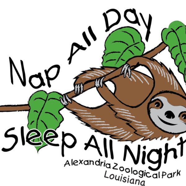 Z528 Sloth Sleep all Day Thumbnail