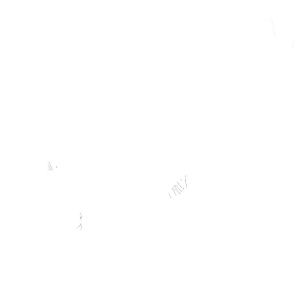 D51 T Rex Word Thumbnail