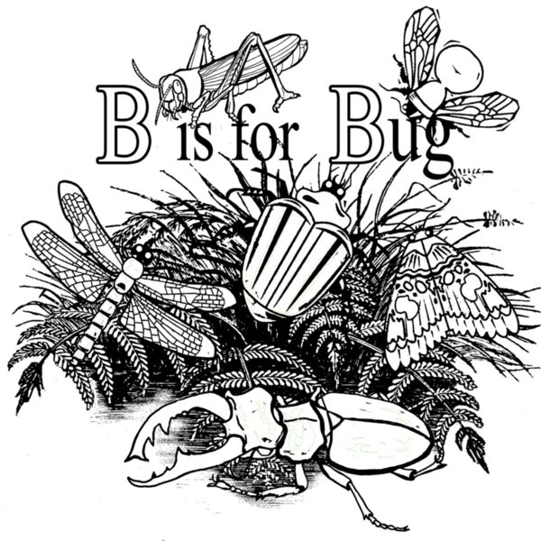 Z431 B is for Bug Thumbnail