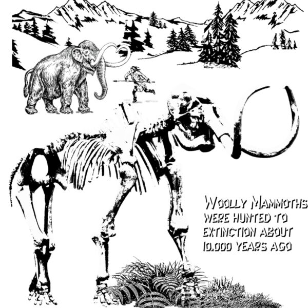 D45 woolly mammoth skeleton Thumbnail