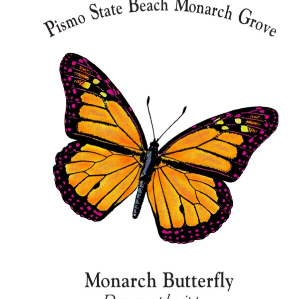 Z162 Single Monarch Thumbnail