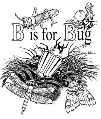 B is for Bug