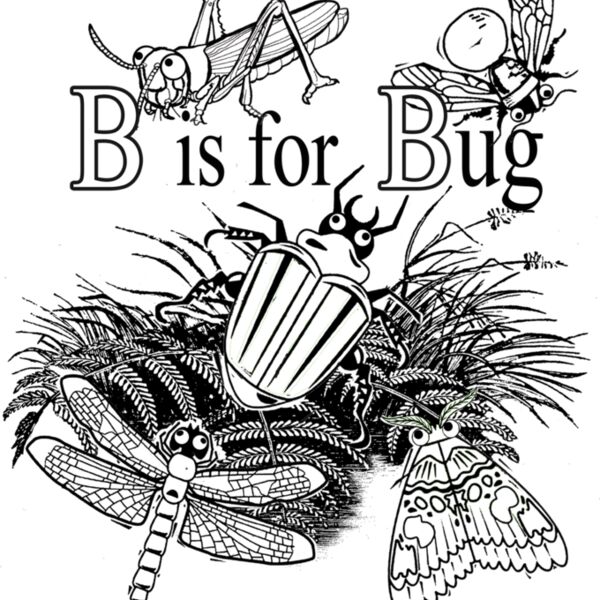 B is for Bug Thumbnail