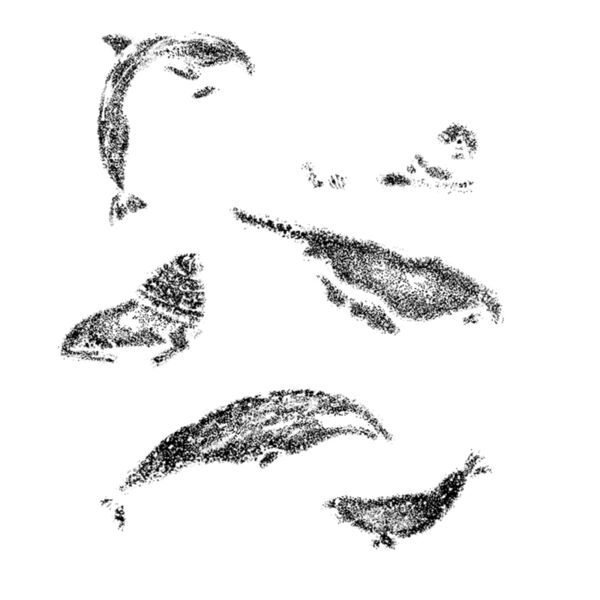 S16 sea mammals Thumbnail