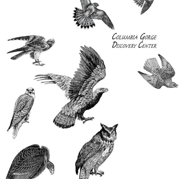 Z260 raptors Thumbnail