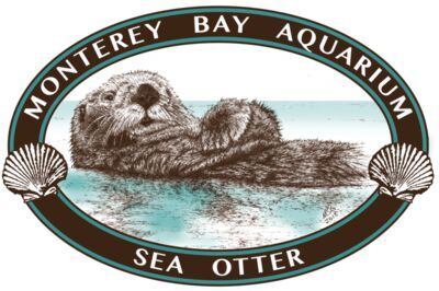 S70 Oval Sea Otter