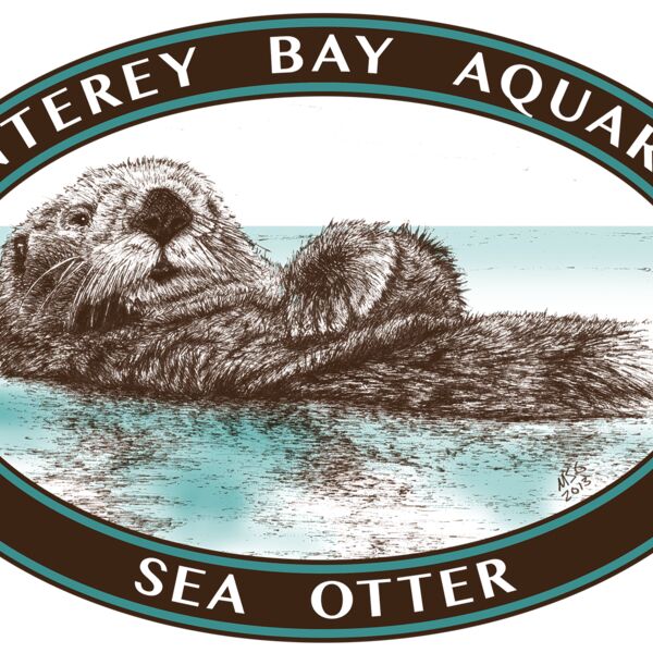 S70 Oval Sea Otter Thumbnail
