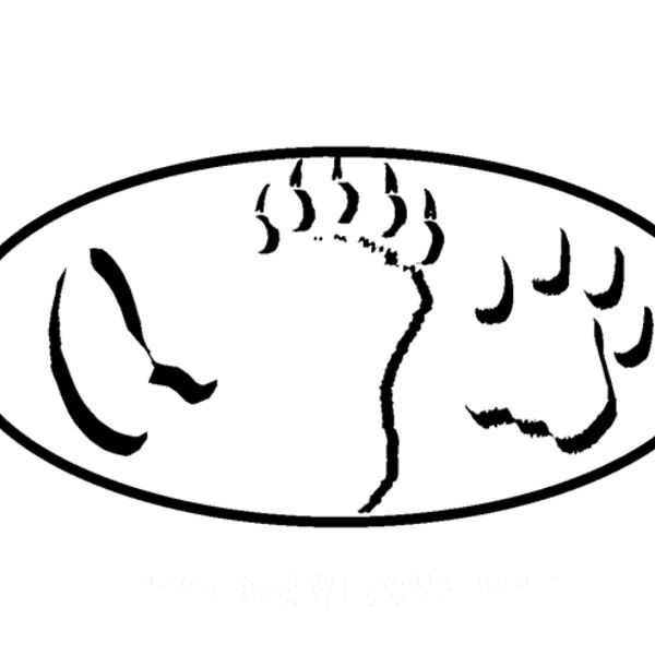 Z90 Born To Be Wild Thumbnail