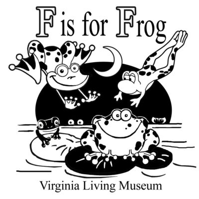 Z414 F is for frog