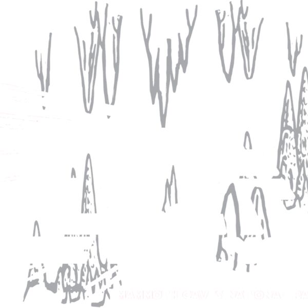 C165 May the Light Be with You Thumbnail