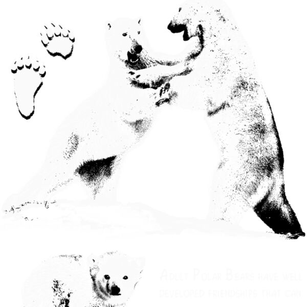 polar bear play Thumbnail
