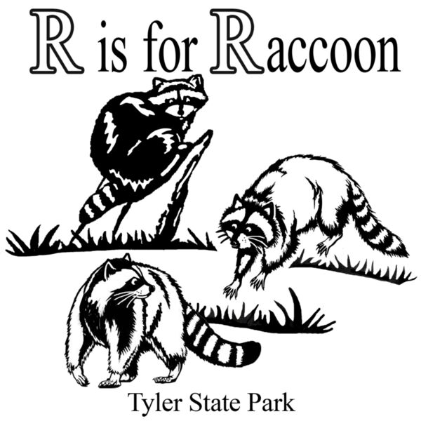 R is for raccoon Thumbnail