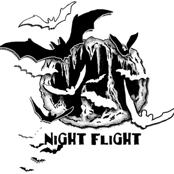 C102 Night flight Thumbnail