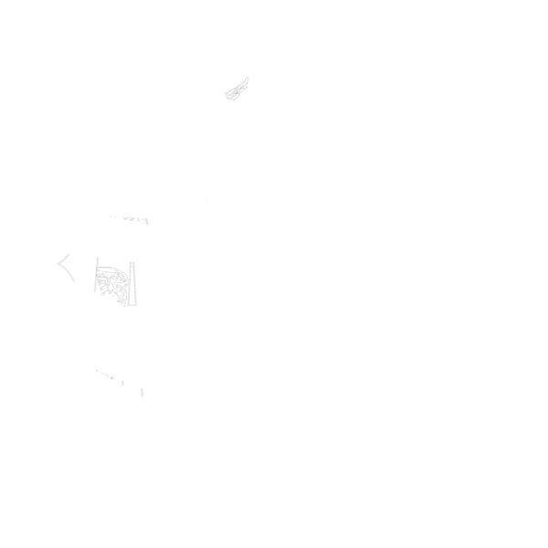 Raptors word design Thumbnail