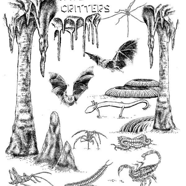 C10 cave critter Thumbnail