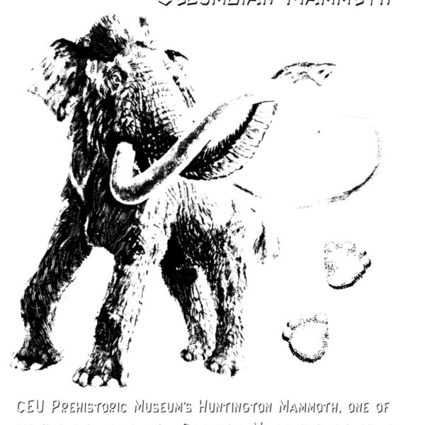 D15 columbian mammoth Thumbnail