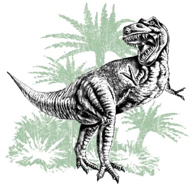 D50 hip T rex foliage