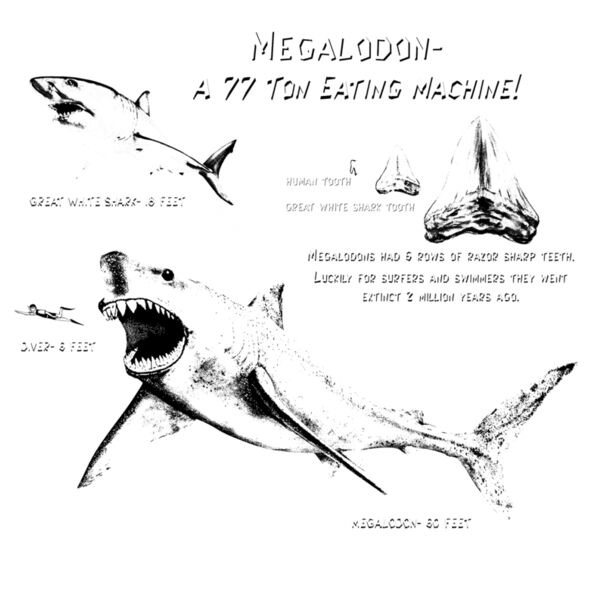 D36 megalodon art Thumbnail