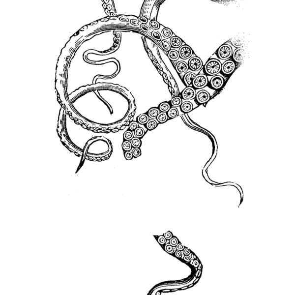 S57 hip octopus drop Thumbnail