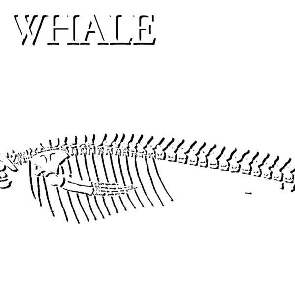 S54 blue whale Thumbnail