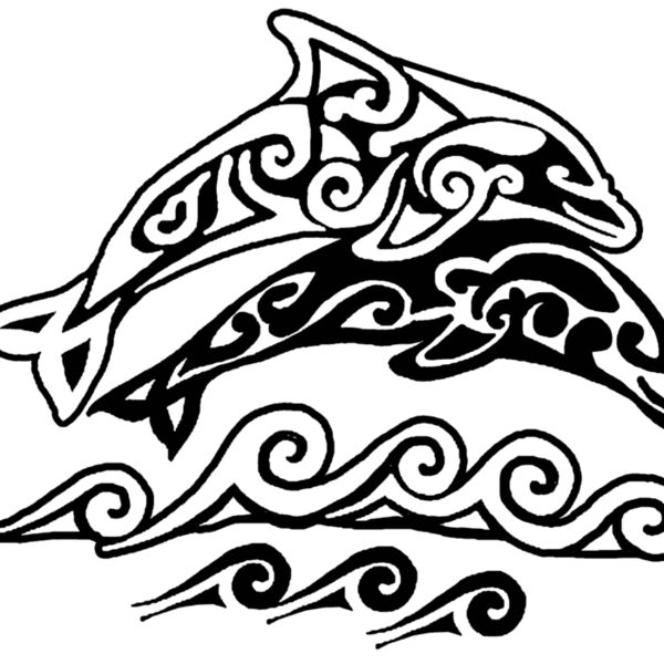 S62 Tribal dolphin Art Thumbnail