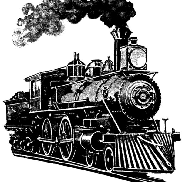 T141 hip train  1   adult Thumbnail