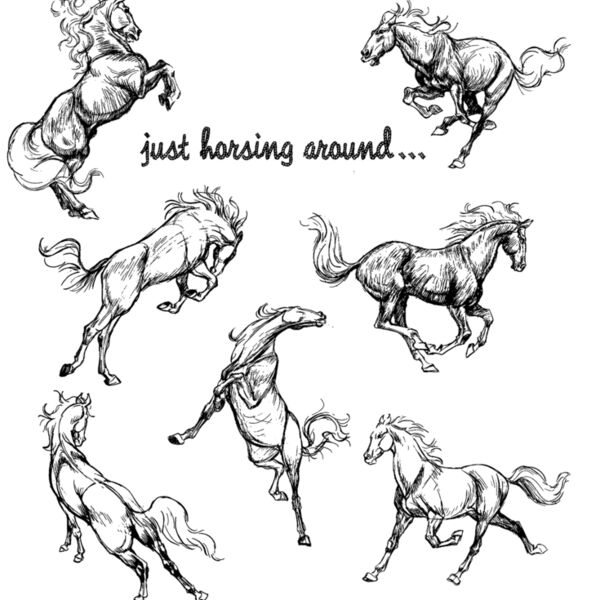 W17 Just Horsing Around Thumbnail