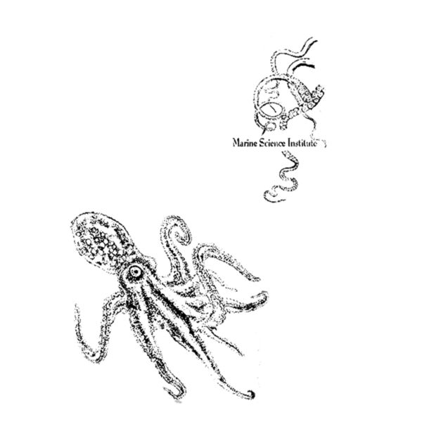 S57 Hip Octopus copy Thumbnail