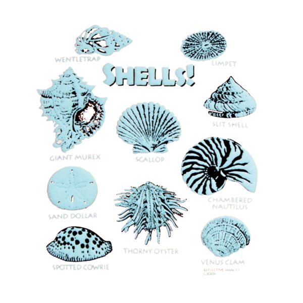 S49 SHELLS copy Thumbnail